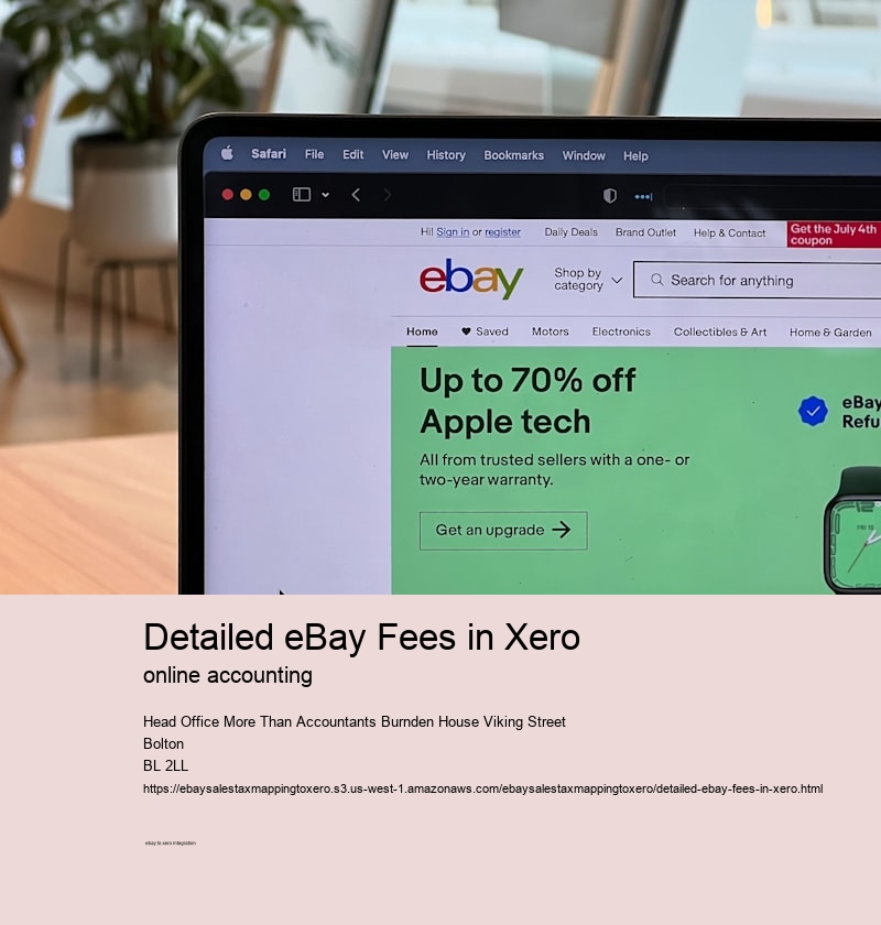 Detailed eBay Fees in Xero