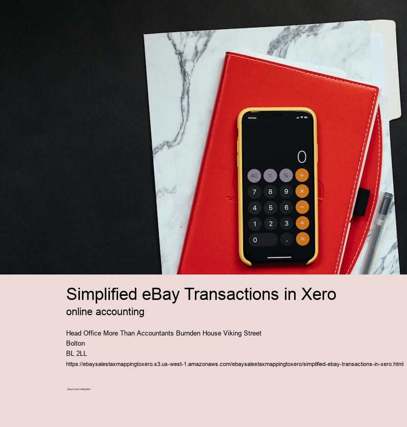 Simplified eBay Transactions in Xero